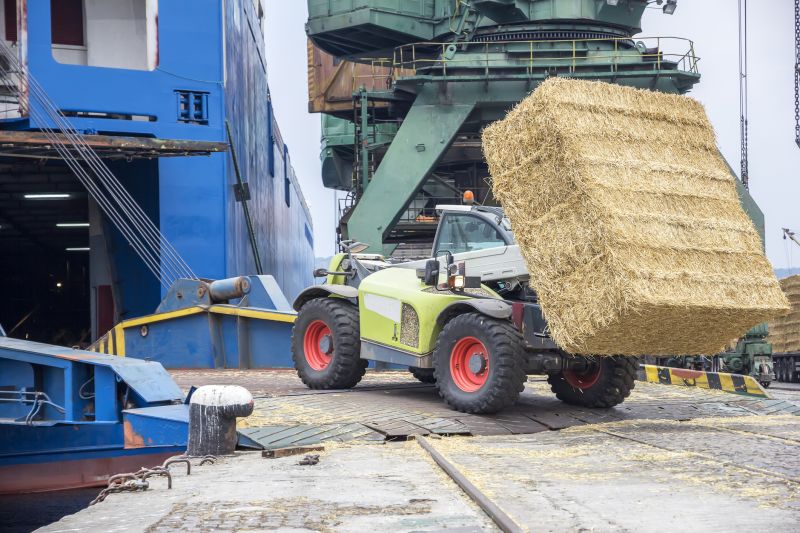 They improve efficiency in construction and agriculture tasks.